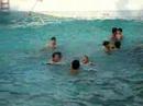 elisha alecx wave pool