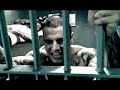 avenged sevenfold   seize the day