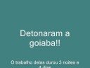 Formigas Trabalhando =D
