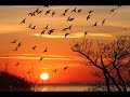 Poem: Tulu-e-Islam (