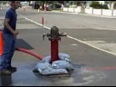 2008 Firebaugh CFMA Muster