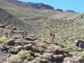 Morocco trekkin high atlas mountains trek - YouTube