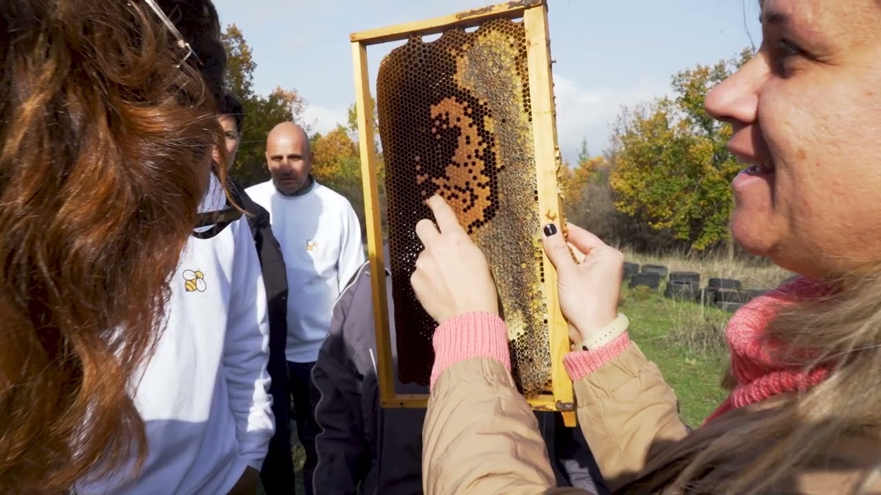 Beegin: Mrs Gogo, beekeeper, Northern Evia