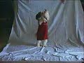 踊る犬動画