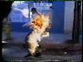 Mirrorball- Spike Jonze- part 4 of 5