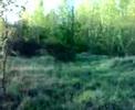 PDC Airsoft Team Arezzo (Gameplay 19-04-08) 04