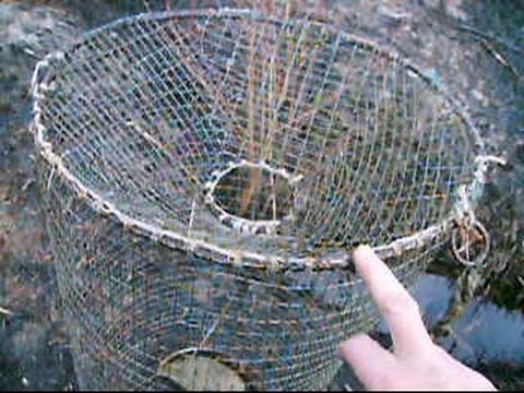Как сплести морду для ловли рыбы своими руками