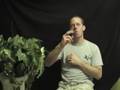 Deaf-s-View-Whole-or
