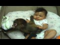 baby jeannelyn playing with baby monkey.