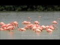 Celestun Mayan Ecotours