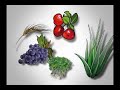 PhytoMatrix