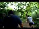 Maunawili Falls hike part 1