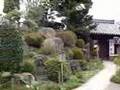 Akatsuka Daibutsu (2)