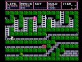 real time speedrun played on a real system without any slowdowns, cheats or savestates. played by jeff feasel (aka. feasel). for further information please visit speeddemosarchive.com