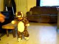 videos de babytigger