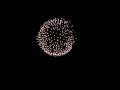 片貝まつり2008：9日三尺玉