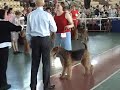 Airedales - Interra 2007- Winner Class Airedales - Interra 2007- Winner Class
