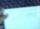 KUDUR VAD?S? B�L�M 2