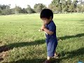 MOV06566