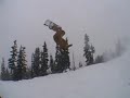 whistler baby