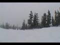 whistler baby
