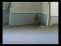 Čudne stvari se dogajajo v cerkvenjaku