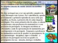 O Magalhães 2.6