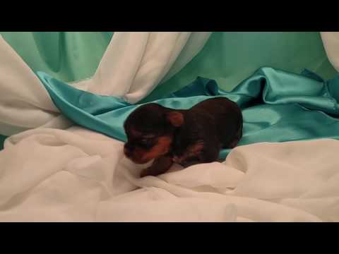 Thyme is a darling little fella