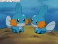 So i herd u leik mudkipz! (extra long!) So i herd u leik mudkipz! (extra long!)