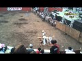 JARIPEO GUSANO DEL GRULLO JALISCO 2011