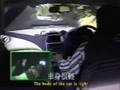 Toyota Celica Review