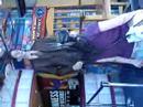 fun in Niagara
