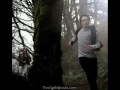 Twilight Twilight