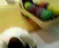 ほしのあき動画