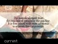 Aqui algunas notas extraídas del vídeo. El cultivo de coca en Colombia es, en promedio, un 15% mas rentable que el cultivo de otras plantas. Un kilo de pasta base de cocaína se vende por 2 millones de pesos colombianos (675′8 euros), y cuesta producirlo 1,4 millones de pesos colombianos (473 euros). El agricultor se queda con unos 200 euros por su trabajo. De una hectárea de coca plantada se sacan entre 1.700 y 1.800 kilos de hoja de coca, de los que se extraen entre 2 y 2,5 kilos de pasta ...