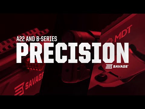 Savage Arms B22 Precision
