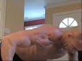 Killer Home Chest Workout