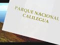 pintores jujeños  museo calilegua canta tomas lipan