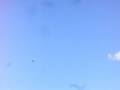 videos de Blue Angles Breakaway formation