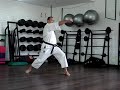 Kihon Ippon Kumite 1