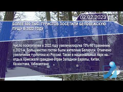 Новостная лента Телеканала Интекс 02.02.23.