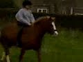 Bare Back Riding