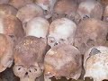 Khmer Rouge in Cambodia Khmer Rouge in Cambodia