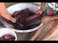 Guyana ( Part 5 of 9 )