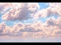 Taichi - Ein Tag #8 Therapie (taichi-musik.de)