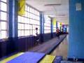 charles saltos mortales