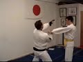 NIHON GOSHIN AIKIDO