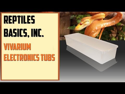 YouTube reptile video