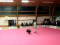grand prix de france dog dancing.