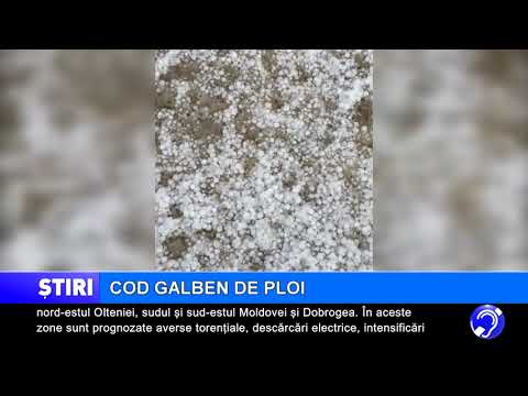 Cod galben de ploi